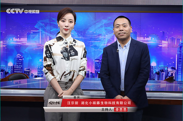小稀藤